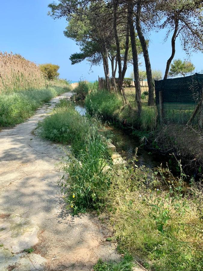 La Dimora In Riva Al Mare 호텔 비에스테 외부 사진