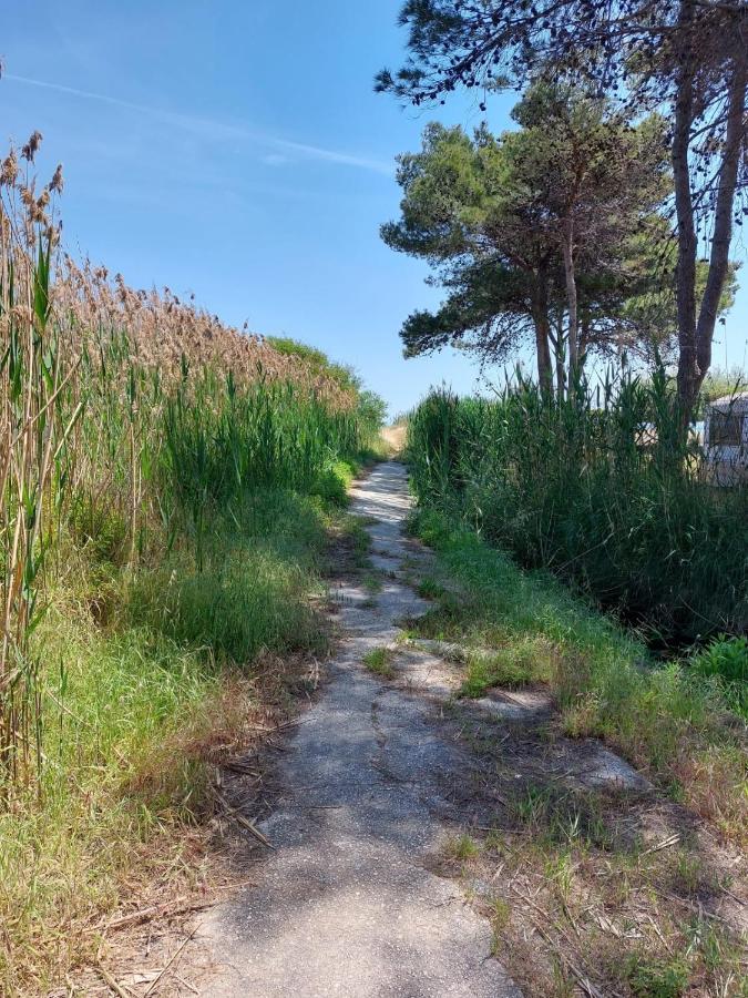 La Dimora In Riva Al Mare 호텔 비에스테 외부 사진